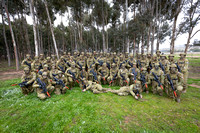 CAMO GROUP SILLY